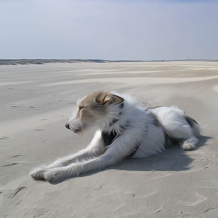 112 Holland Tiere Felix 20140420_0438-3-1.jpg